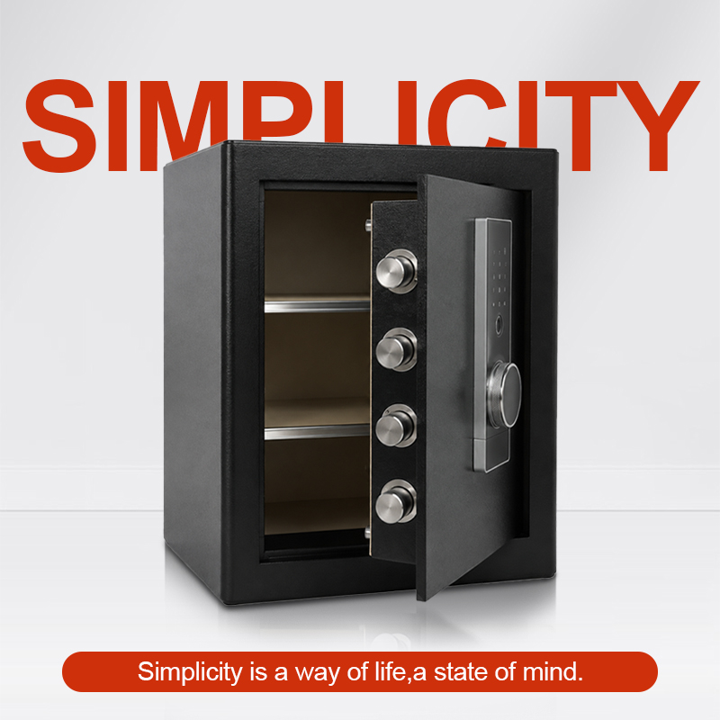 Biometric Fingerprint Safe Box - Home Office For Passport review and price