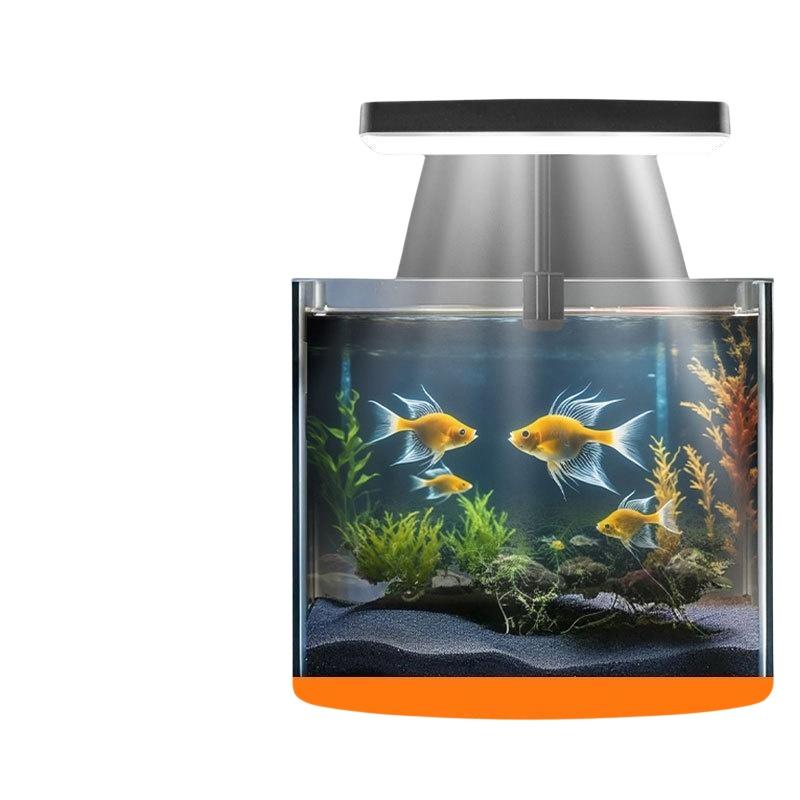 USB Aquarium Clip Light Flexib - Home Office Lamp review and price